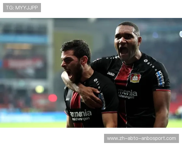 德甲各球队股权：德甲球队股权结构及投资者背景